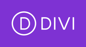 Divi Theme
